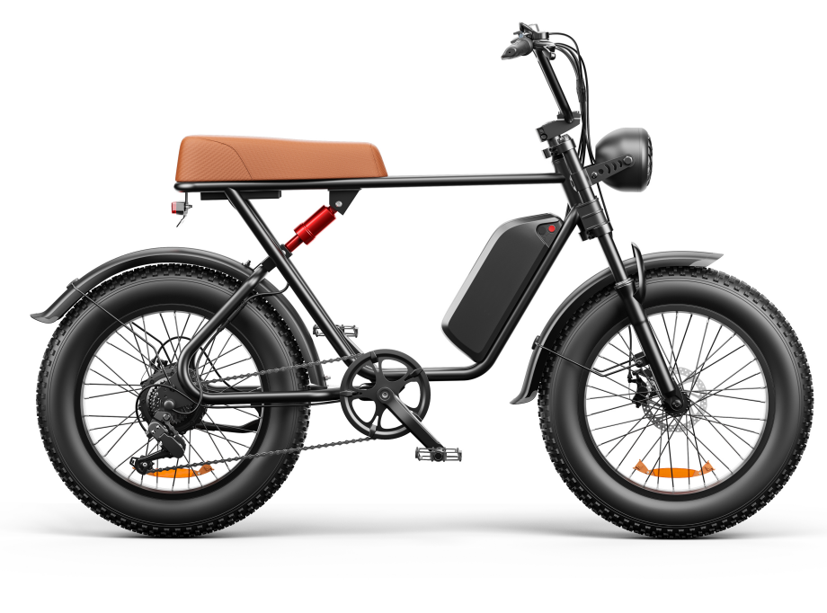 C91 20″ Electric Bike – Multiple Battery Styles