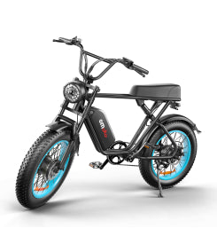 C91 20″ High-Speed Dual-Drive E-Bike