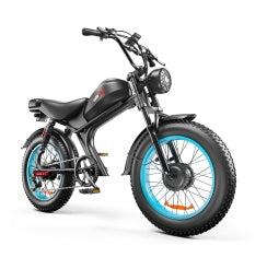 C93 High-Speed Dual-Drive E-Bike