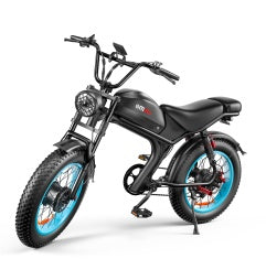 C93 High-Speed Dual-Drive E-Bike