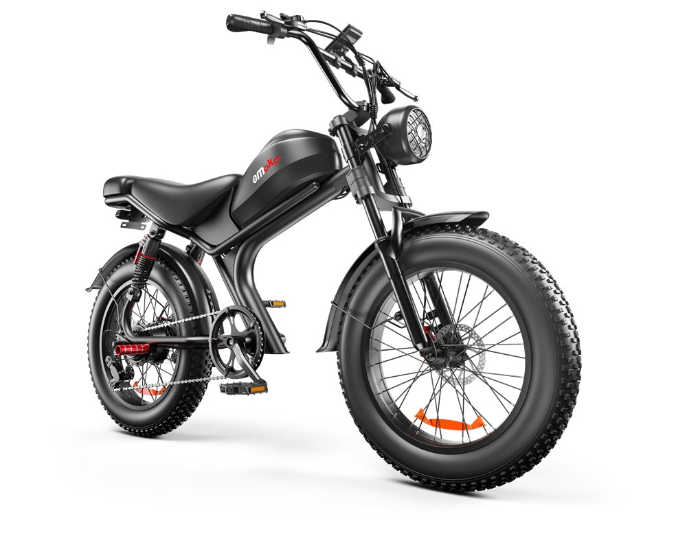 C93 High-Speed Dual-Drive E-Bike