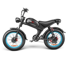 C93 High-Speed Dual-Drive E-Bike