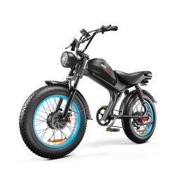 C93 High-Speed Dual-Drive E-Bike